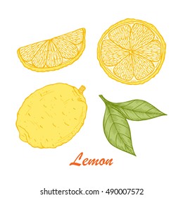 Vector Fruits. Hand drawn Lemons 