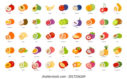 Vector fruits icon set isolated on white background. 