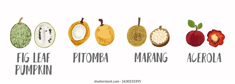 Vector fruits icons set in hand drawn style. Collection farm product for restaurant menu, market label.