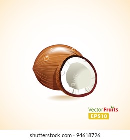 Vector fruits illustration. Coconut