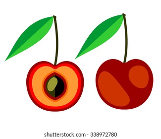 Vector fruits illustration. Detailed icon of cherry, whole and half, isolated over white background.Series of fruits and ingredients for cooking.