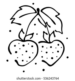 Vector fruits illustration. Strawberry with leaves, decorative elements isolated on the white background. Hand drawn contour lines and strokes. Doodle style, graphic vector illustration.