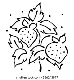 Vector fruits illustration. Strawberry with leaves, decorative elements isolated on the white background. Hand drawn contour lines and strokes. Doodle style, graphic vector illustration.