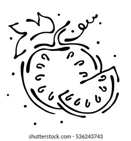 Vector fruits illustration. Watermelon with leaves, decorative elements isolated on the white background. Hand drawn contour lines and strokes. Doodle style, graphic vector illustration.