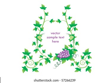 Vector fruits label tag