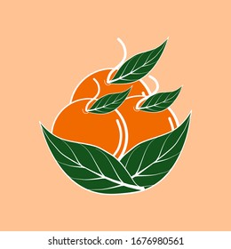 Vector fruits oranges used to accompany the logo, use to decorate