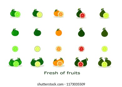 Vector fruits set Include citrus fruits such as lemon, orange, grapefruit isolated on white background
