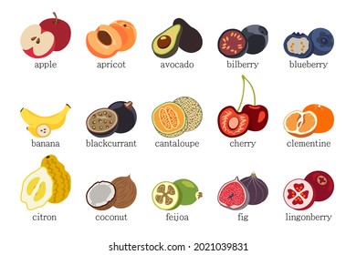 Frutas vectoriales aisladas en un fondo blanco. 