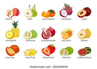 Vector fruits set isolated on white background. 