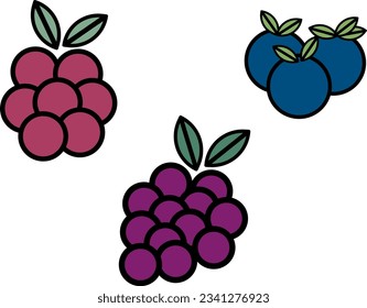 Vector fruits, simple geometric, circle minimalistic, cartoon