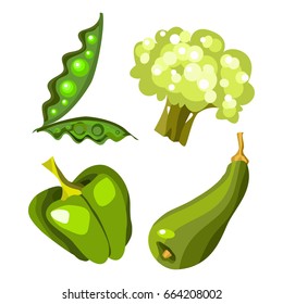 Vector fruits and vegetables on a white background