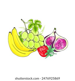 Vector frutas y verduras con fondo blanco.