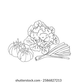 Vector fruits and vegetables with white background.