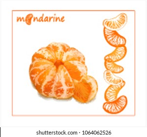 Vector fruit.Vector Mandarin. Vector image of citrus, lobules, peeled fruit.Isolated vector image for sale of fruits for shops. A picture for price tags, advertising posters, leaflets.