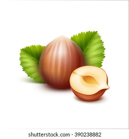 Vector Full and Half Peeled Unpeeled Realistic Hazelnuts with Leaves Close up Isolated on White Background
