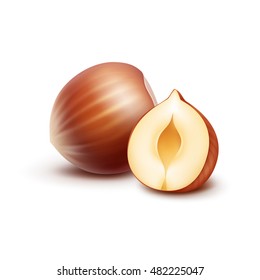 Vector Full and Half Peeled Unpeeled Realistic Hazelnuts Close up Isolated on White Background