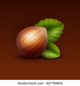 Vector Full Unpeeled Realistic Hazelnut with Leaves Close up Isolated on Brown Background