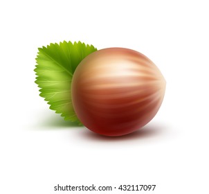 Vector Full Unpeeled Realistic Hazelnut with Leaves Close up Isolated on White Background