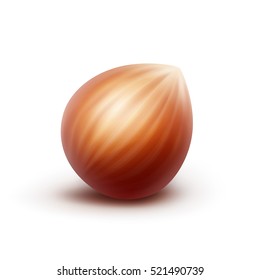 Vector Full Unpeeled Realistic Hazelnut Close up Isolated on White Background
