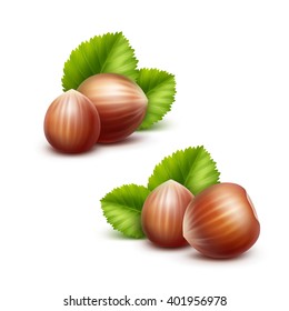 Vector Full Unpeeled Realistic Hazelnuts with Leaves Close up Isolated on White Background
