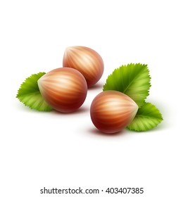 Vector Full Unpeeled Realistic Hazelnuts with Leaves Close up Isolated on White Background