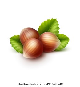 Vector Full Unpeeled Realistic Hazelnuts with Leaves Close up Isolated on White Background
