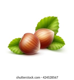 Vector Full Unpeeled Realistic Hazelnuts with Leaves Close up Isolated on White Background
