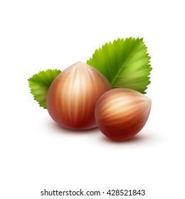 Vector Full Unpeeled Realistic Hazelnuts with Leaves Close up Isolated on White Background