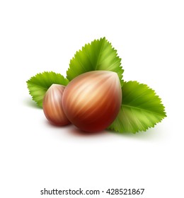 Vector Full Unpeeled Realistic Hazelnuts with Leaves Close up Isolated on White Background