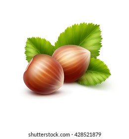 Vector Full Unpeeled Realistic Hazelnuts with Leaves Close up Isolated on White Background