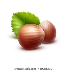 Vector Full Unpeeled Realistic Hazelnuts with Leaves Close up Isolated on White Background