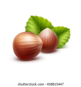 Vector Full Unpeeled Realistic Hazelnuts with Leaves Close up Isolated on White Background