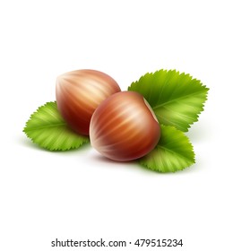 Vector Full Unpeeled Realistic Hazelnuts with Leaves Close up Isolated on White Background