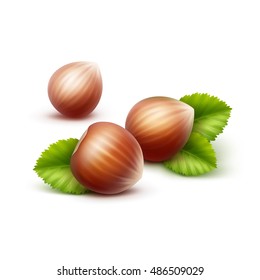 Vector Full Unpeeled Realistic Hazelnuts with Leaves Close up Isolated on White Background