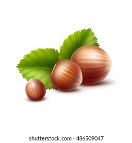 Vector Full Unpeeled Realistic Hazelnuts with Leaves Close up Isolated on White Background