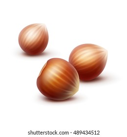 Vector Full Unpeeled Realistic Hazelnuts Close up Isolated on White Background