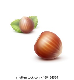 Vector Full Unpeeled Realistic Hazelnuts with Leaves Close up Isolated on White Background