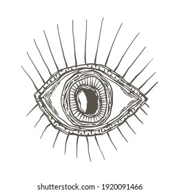 Vector Funky Human  Eye With Long Lashes. Engraving Style