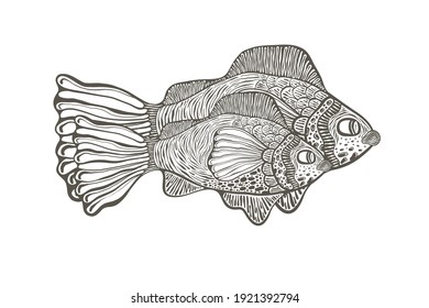 Vector Funky Illustration. Two fish engraving style 