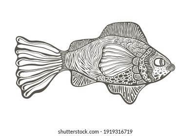 Vector funky unreal fish . hand drawn engraving style.