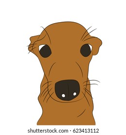 Vector funny brown dog