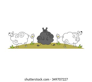 Vector funny cartoon black sheep in the meadow with camomiles - white background