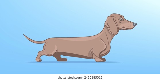 Vector funny cartoon black and white cartoon very long dachshund breed dog with taxi symbols on its side. Friendly house pet. Bright yellow background.