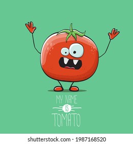 vector funny cartoon cute red smiling tomato character isolated on pastel green background. My name is tomato. summer vegetable funky smiling character