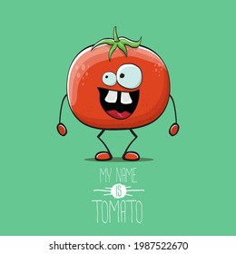 vector funny cartoon cute red smiling tomato character isolated on pastel green background. My name is tomato. summer vegetable funky smiling character