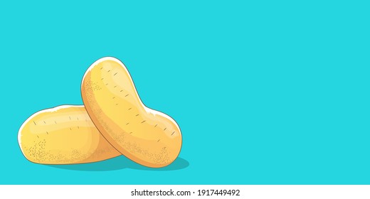 vector funny cartoon cute sweet two red brown potatoes set laying on turquoise horizontal banner background. potato label design template with potato isolated on background and space for text