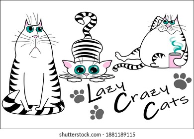 Vector funny cats, sat of cats stickers