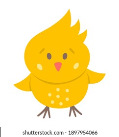 Vector funny chick icon. Spring, Easter or farm little bird illustration. Cute yellow chicken isolated on white background. 
