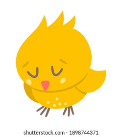 Vector funny chick icon. Spring, Easter or farm little bird illustration. Cute yellow sleeping chicken with closed eyes isolated on white background. 
