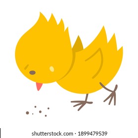 Vector funny chick icon. Spring, Easter or farm little bird illustration. Cute yellow chicken pecking seeds isolated on white background. 
